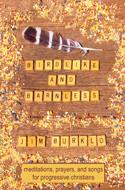 Birdlike and Barnless; Meditations, Prayers, and Songs for Progressive Christians by Jim Burklo