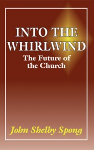 Into the Whirlwind The Future of the Church by John Shelby Spong